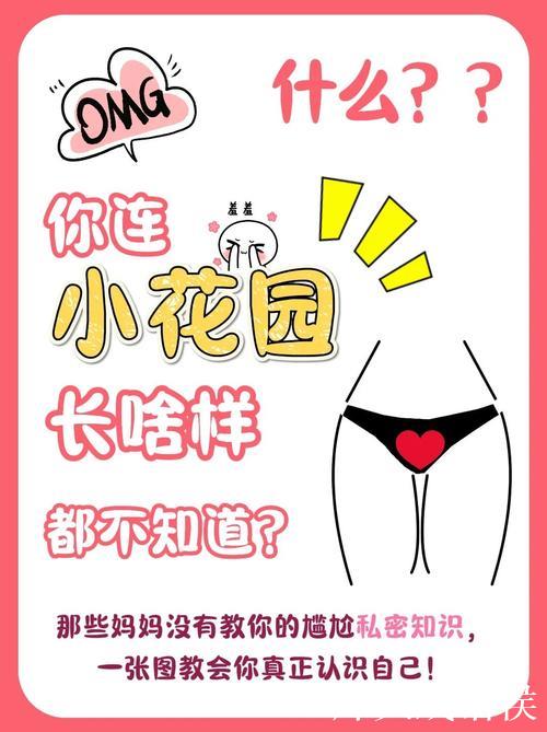 揭秘微密圈626617：圈内那些你不知道的秘密